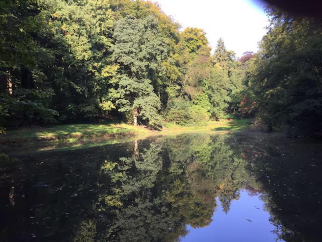 Gite Incontournable Avec Sauna Et Piscine Dans Un Petit Paradis Du Barbant Wallon Villers-la-Ville Luaran gambar