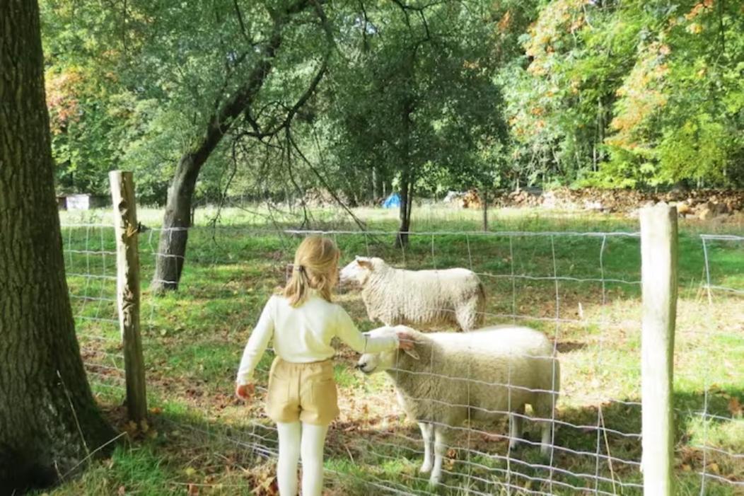 Gite Incontournable Avec Sauna Et Piscine Dans Un Petit Paradis Du Barbant Wallon Villers-la-Ville Luaran gambar
