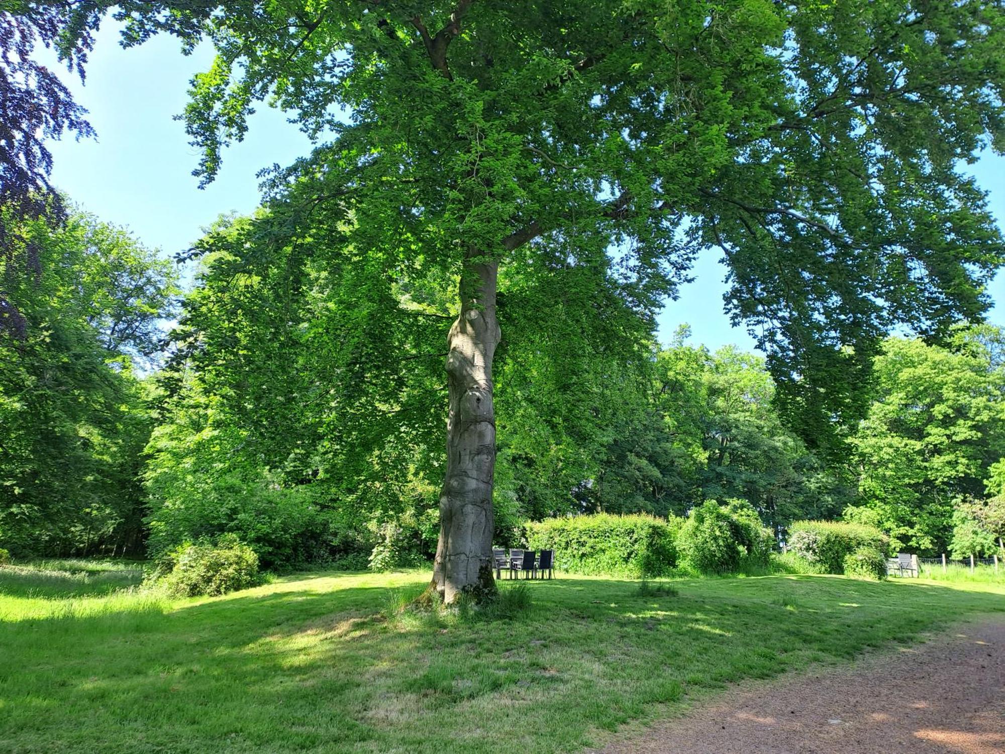 Gite Incontournable Avec Sauna Et Piscine Dans Un Petit Paradis Du Barbant Wallon Villers-la-Ville Luaran gambar